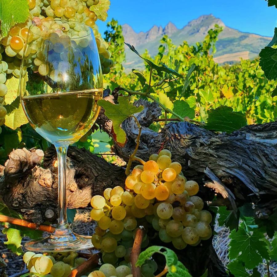 Raithby Winelands Historical Cottage 外观 照片